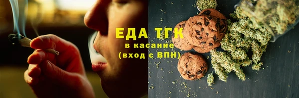 прущие грибы Абаза