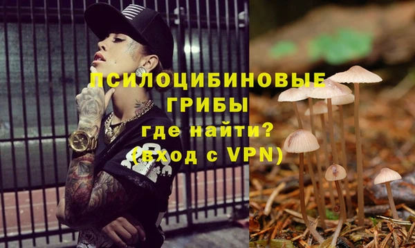 apvp Абинск