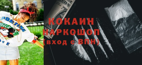 прущие грибы Абаза