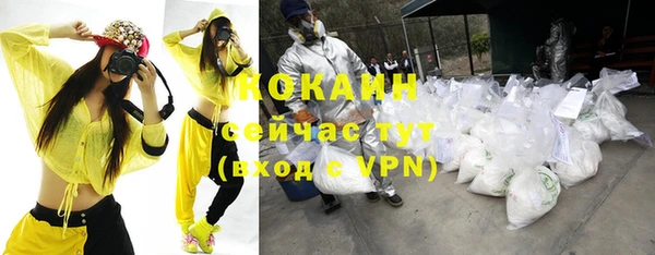 прущие грибы Абаза