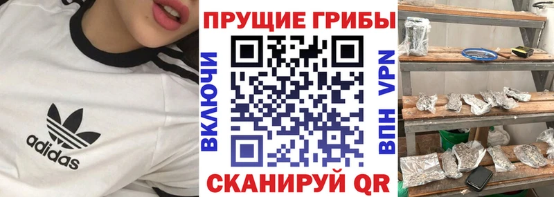 Галлюциногенные грибы Psilocybe  Урень 